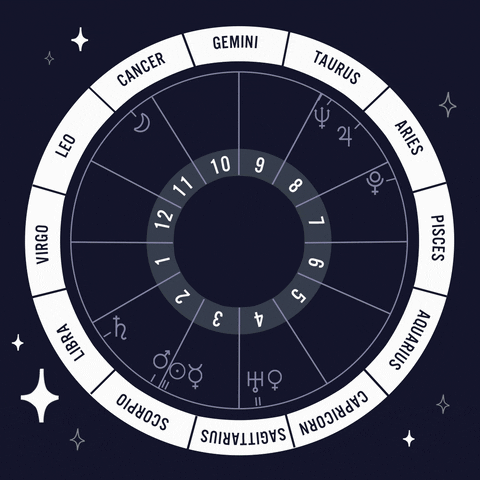 zodiac spinning chart